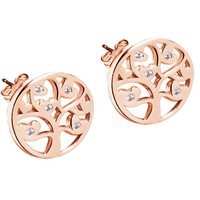 Orecchini Jack&co Donna in Argento Zirconia JCE0605 - JCE0605